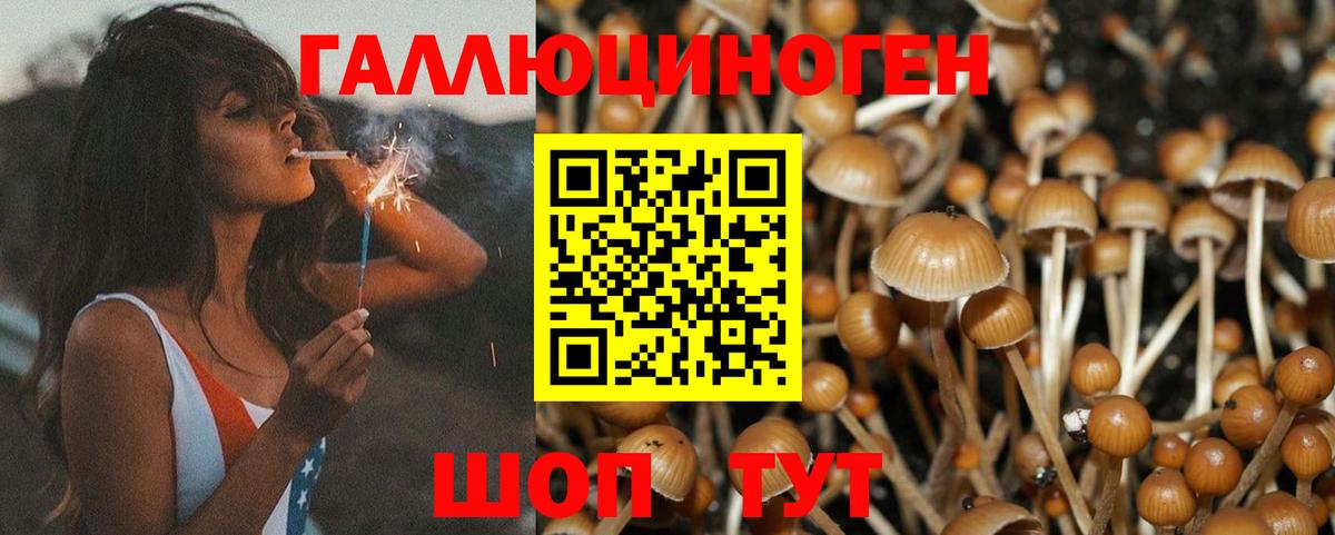Галлюциногенные грибы Magic Shrooms Родники